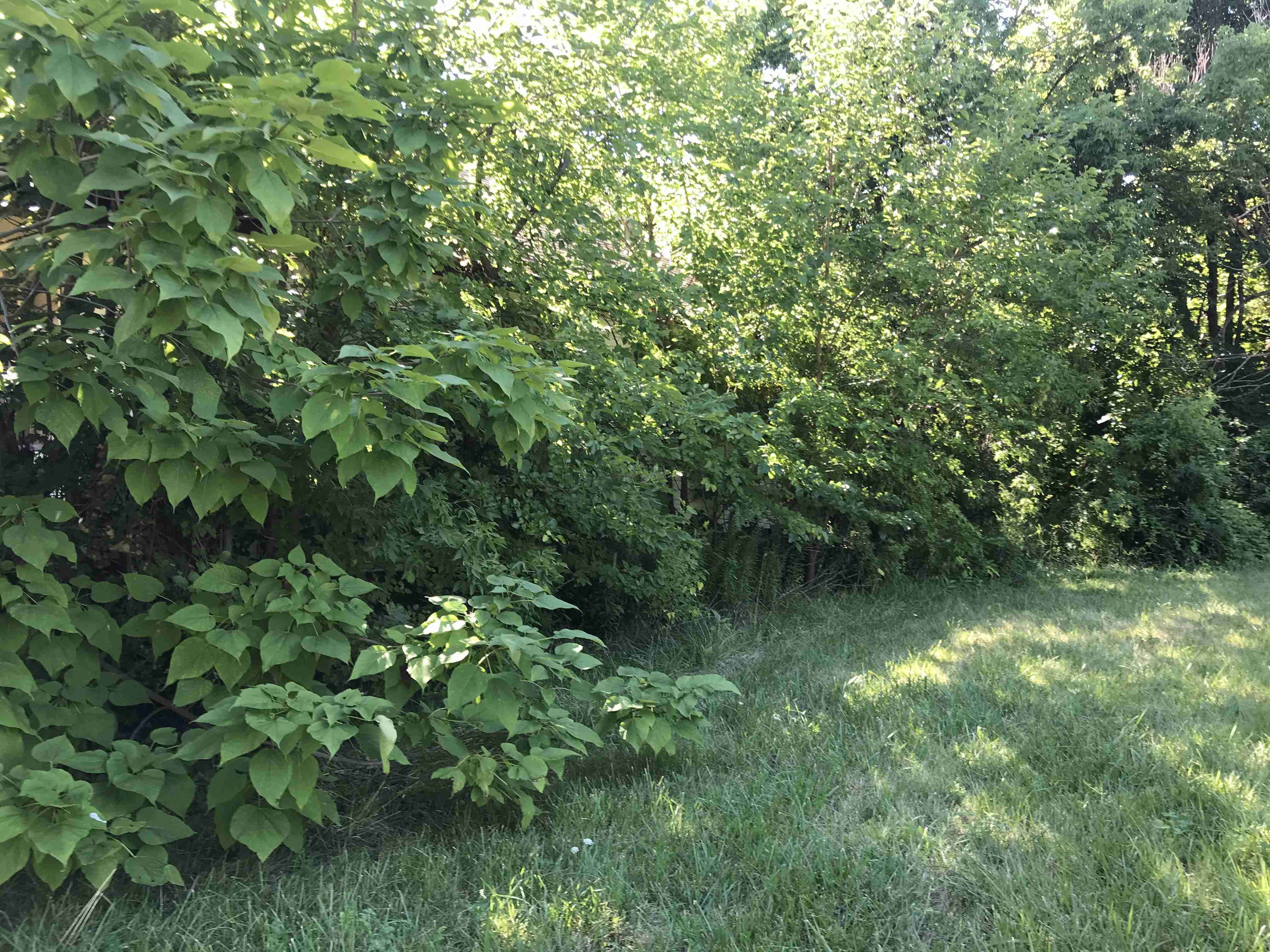 Photo Aug 20, 10 24 09 AM.jpg